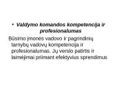 Verslo plano struktūra, pagrindinės dalys ir priedai 13 puslapis