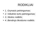 Verslo plano struktūra, pagrindinės dalys ir priedai 15 puslapis