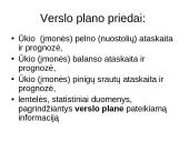 Verslo plano struktūra, pagrindinės dalys ir priedai 3 puslapis