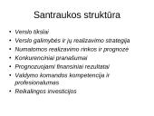 Verslo plano struktūra, pagrindinės dalys ir priedai 7 puslapis