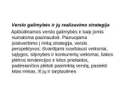 Verslo plano struktūra, pagrindinės dalys ir priedai 9 puslapis