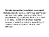 Verslo plano struktūra, pagrindinės dalys ir priedai 10 puslapis