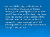 Verslo pradžios vadovas 12 puslapis