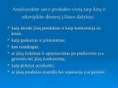 Verslo pradžios vadovas 13 puslapis