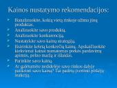 Verslo pradžios vadovas 14 puslapis