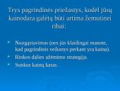 Verslo pradžios vadovas 16 puslapis