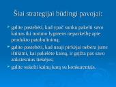 Verslo pradžios vadovas 18 puslapis