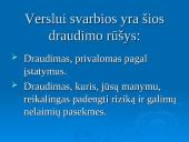Verslo pradžios vadovas 20 puslapis