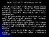 Verslo rizika ir jos mažinimo būdai: AB "Vilniaus baldai" 12 puslapis