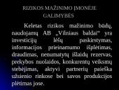 Verslo rizika ir jos mažinimo būdai: AB "Vilniaus baldai" 14 puslapis