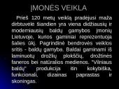 Verslo rizika ir jos mažinimo būdai: AB "Vilniaus baldai" 3 puslapis