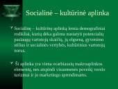 Verslo turizmo ir makroaplinkos santykis 17 puslapis