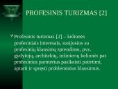 Verslo turizmo ir makroaplinkos santykis 4 puslapis