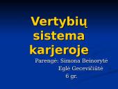 Vertybių sistema karjeroje