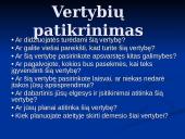 Vertybių sistema karjeroje 12 puslapis