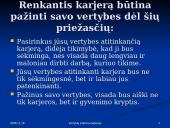 Vertybių sistema karjeroje 3 puslapis