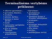 Vertybių sistema karjeroje 7 puslapis