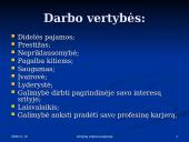 Vertybių sistema karjeroje 9 puslapis