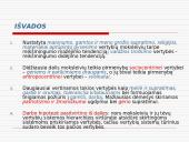 Vertybių sistemos kaita šiuolaikinėje šeimoje 14 puslapis