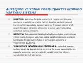 Vertybių sistemos kaita šiuolaikinėje šeimoje 5 puslapis