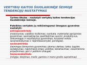 Vertybių sistemos kaita šiuolaikinėje šeimoje 8 puslapis