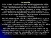 Viešbučio pristatymas: "Apple Economy Hotel" 11 puslapis