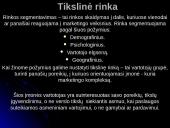 Viešbučio pristatymas: "Apple Economy Hotel" 14 puslapis