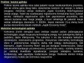 Viešbučio pristatymas: "Apple Economy Hotel" 4 puslapis