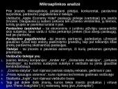 Viešbučio pristatymas: "Apple Economy Hotel" 6 puslapis