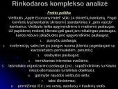 Viešbučio pristatymas: "Apple Economy Hotel" 10 puslapis