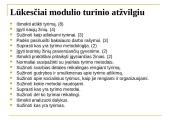 Viešojo administravimo III kurso studentų lūkesčiai Socialinių tyrimų metodologijos studijoms 11 puslapis