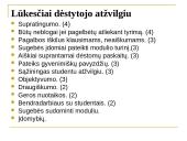 Viešojo administravimo III kurso studentų lūkesčiai Socialinių tyrimų metodologijos studijoms 14 puslapis
