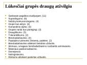 Viešojo administravimo III kurso studentų lūkesčiai Socialinių tyrimų metodologijos studijoms 18 puslapis