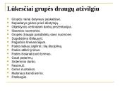 Viešojo administravimo III kurso studentų lūkesčiai Socialinių tyrimų metodologijos studijoms 19 puslapis