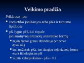 Vietinė nejautra 17 puslapis