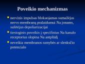 Vietinė nejautra 6 puslapis