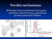 Vietinė nejautra 7 puslapis