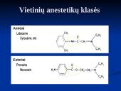 Vietinė nejautra 8 puslapis