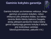 Vietos gaminių pardavimas tiesioginio paskirstymo grandinėmis 5 puslapis