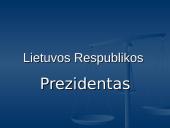 Vykdomoji valdžia 2 puslapis