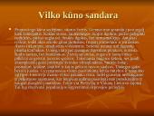 Vilko kūno sandara 2 puslapis