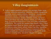 Vilko kūno sandara 3 puslapis