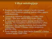 Vilko kūno sandara 4 puslapis