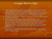 Vilko kūno sandara 5 puslapis