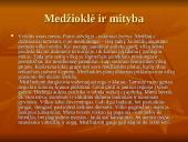 Vilko kūno sandara 6 puslapis