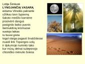 Vilnius šiuolaikinėje poezijoje 11 puslapis