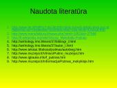 Vincas Mykolaitis-Putinas (1893 - 1967) 14 puslapis