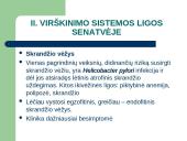 Vyresnio amžiaus žmonių virškinimo sistema, mityba ir mitybos rekomendacijos 14 puslapis