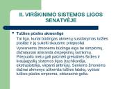 Vyresnio amžiaus žmonių virškinimo sistema, mityba ir mitybos rekomendacijos 20 puslapis