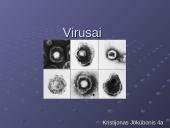 Virusai, virusų tipai, veikimas